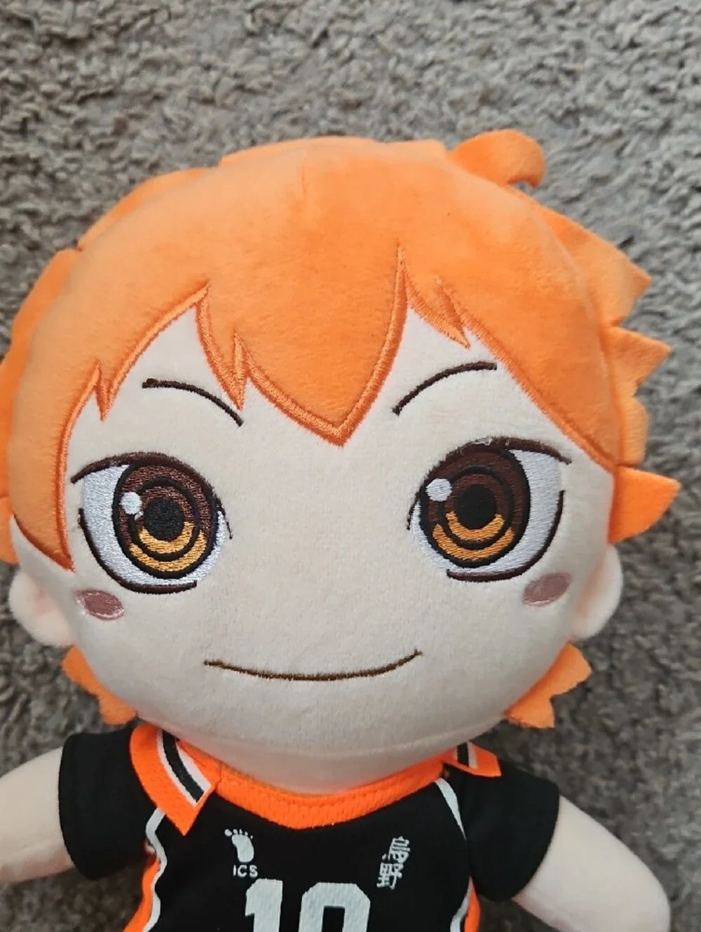Haikyu!! Shoyo Hinata 10inch Anime Spots Plush